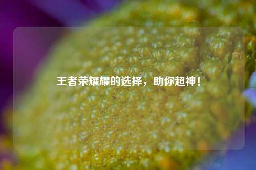 王者荣耀耀的选择,助你超神!