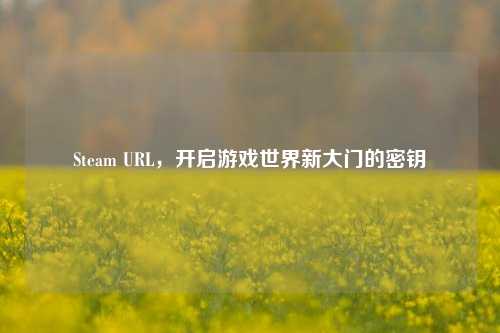 Steam URL,开启游戏世界新大门的密钥