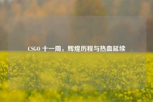 CSGO 十一周,辉煌历程与热血延续