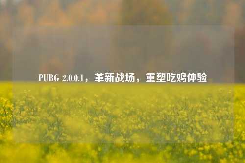 PUBG 2.0.0.1,革新战场,重塑吃鸡体验