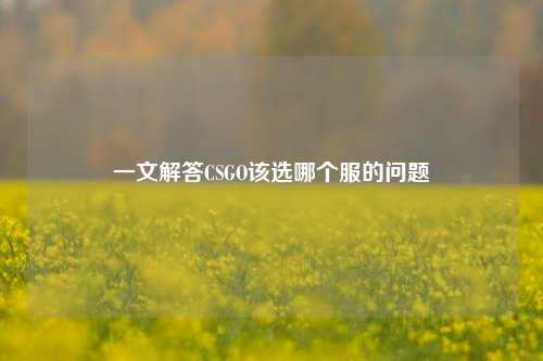 一文解答CSGO该选哪个服的问题