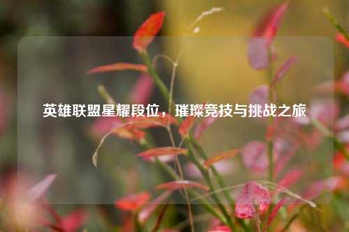 英雄联盟星耀段位,璀璨竞技与挑战之旅