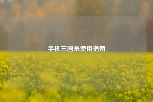 手机三国杀使用指南