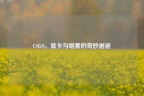 CSGO,显卡与烟雾的奇妙邂逅