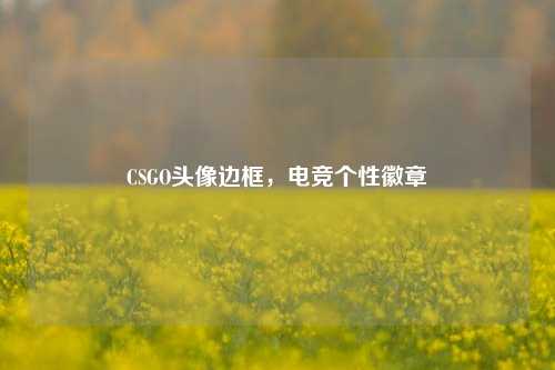 CSGO头像边框,电竞个性徽章