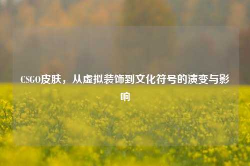 CSGO皮肤,从虚拟装饰到文化符号的演变与影响