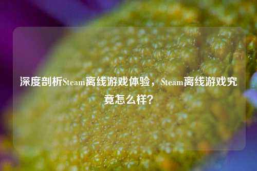 深度剖析Steam离线游戏体验,Steam离线游戏究竟怎么样?