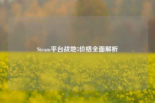 Steam平台战地5价格全面解析