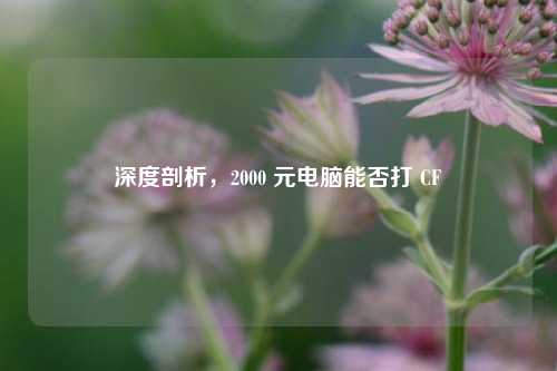 深度剖析,2000 元电脑能否打 CF