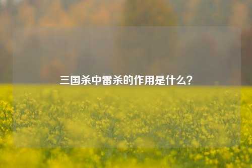 三国杀中雷杀的作用是什么?