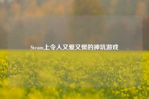 Steam上令人又爱又恨的神坑游戏