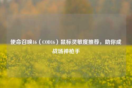 使命召唤16(COD16)鼠标灵敏度推荐,助你成战场神***