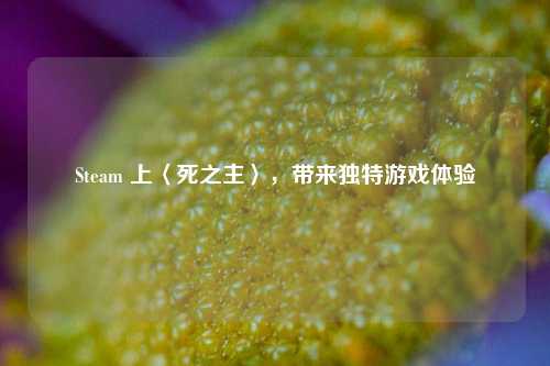 Steam 上〈死之主〉,带来独特游戏体验
