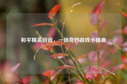 和平精英回音,一场奇妙游戏小插曲