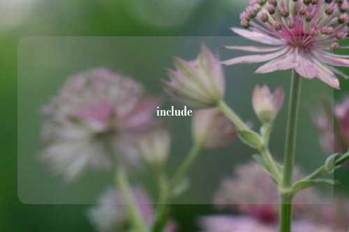 include