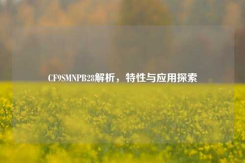 CF9 NPB28解析,特性与应用探索