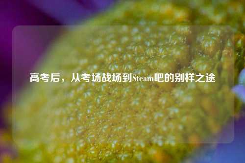 高考后,从考场战场到Steam吧的别样之途