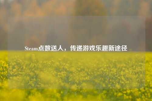 Steam点数送人,传递游戏乐趣新途径