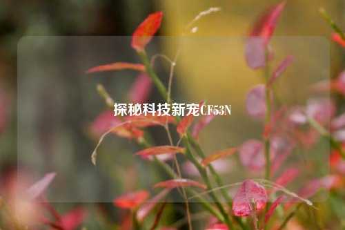 探秘科技新宠CF53N