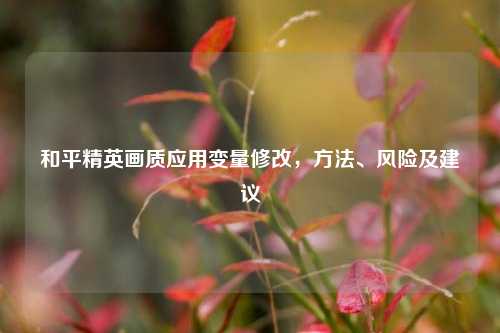 和平精英画质应用变量修改, 、风险及建议