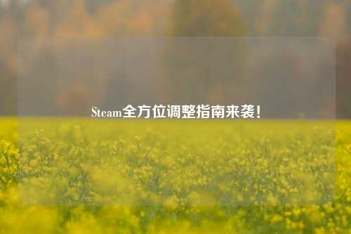 Steam全方位调整指南来袭!