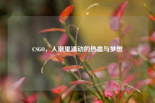 CSGO,人潮里涌动的热血与梦想