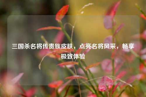 三国杀名将传贵族皮肤,点亮名将风采,畅享极致体验