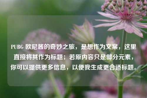PUBG 欧尼酱的奇妙之旅,是想作为文案,这里直接将其作为标题;若原内容只是部分元素,你可以提供更多信息,以便我生成更合适标题。