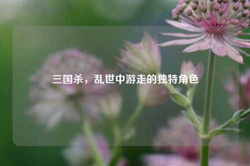 三国杀,乱世中游走的独特角色