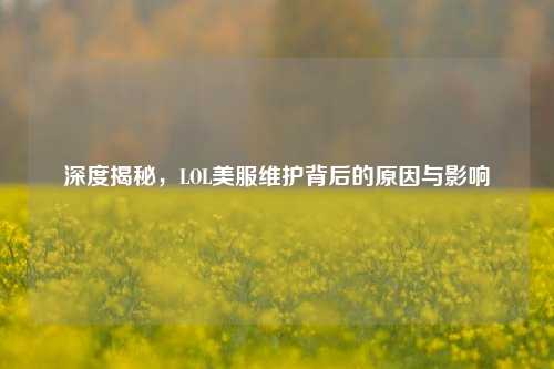 深度揭秘,LOL美服维护背后的原因与影响