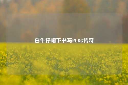 白牛仔帽下书写PUBG传奇