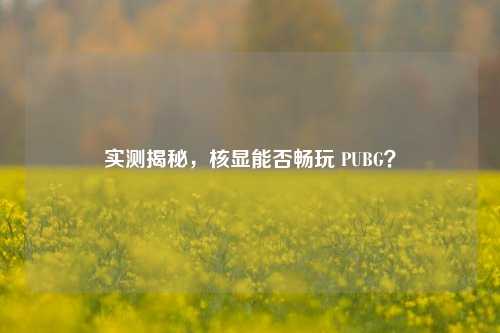 实测揭秘,核显能否畅玩 PUBG?