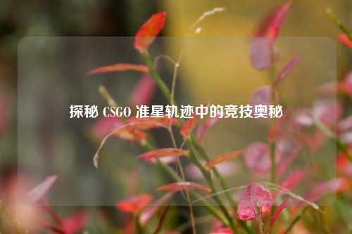 探秘 CSGO 准星轨迹中的竞技奥秘
