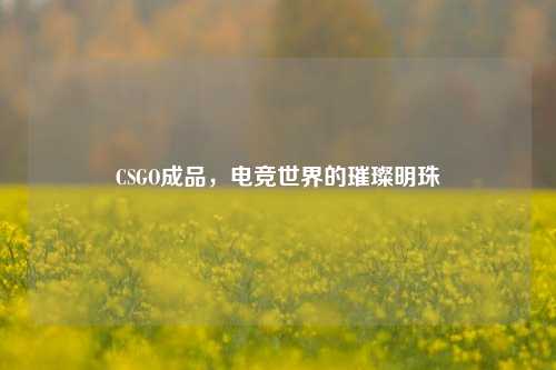CSGO成品,电竞世界的璀璨明珠
