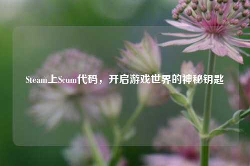 Steam上Scum代码,开启游戏世界的神秘钥匙