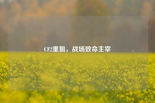 CF2重狙,战场致命主宰