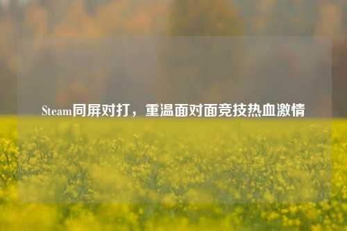 Steam同屏对打,重温面对面竞技热血***