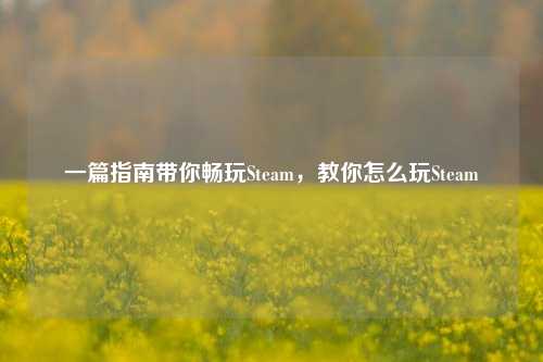 一篇指南带你畅玩Steam,教你怎么玩Steam