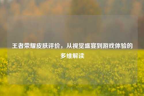 王者荣耀皮肤评价,从视觉盛宴到游戏体验的多维解读