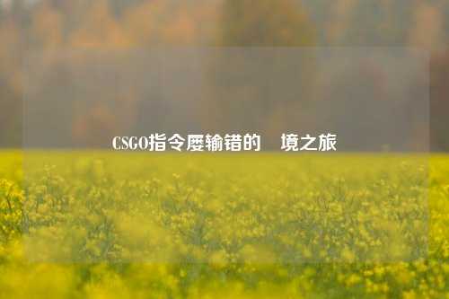 CSGO指令屡输错的囧境之旅