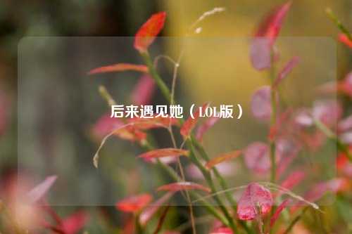 后来遇见她(LOL版)