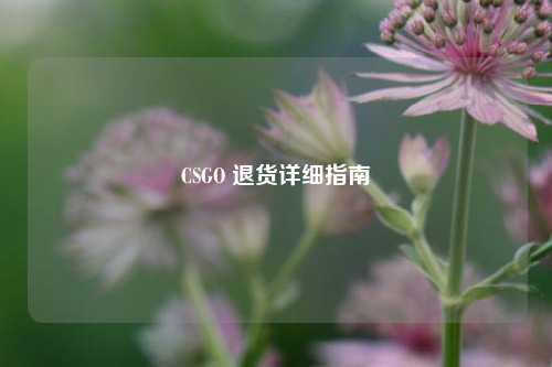 CSGO 退货详细指南