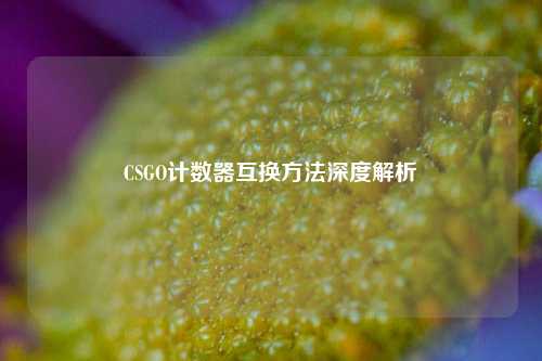 CSGO计数器互换 深度解析