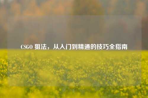 CSGO 狙法,从入门到精通的技巧全指南