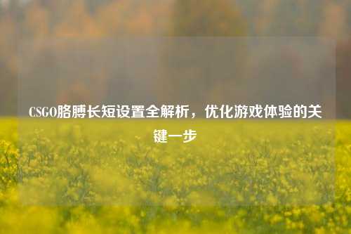 CSGO胳膊长短设置全解析,优化游戏体验的关键一步