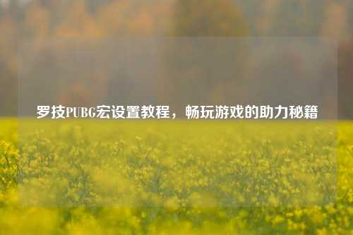 罗技PUBG宏设置教程,畅玩游戏的助力秘籍