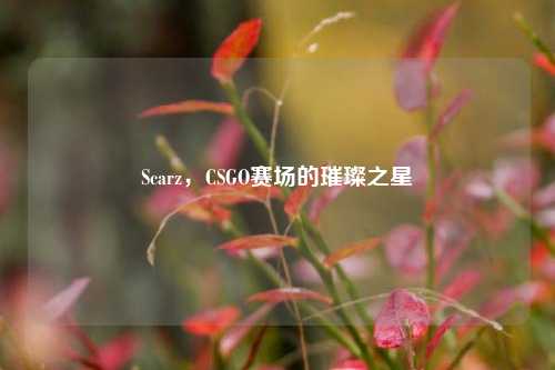 Scarz,CSGO赛场的璀璨之星