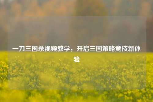 一刀三国杀视频教学,开启三国策略竞技新体验