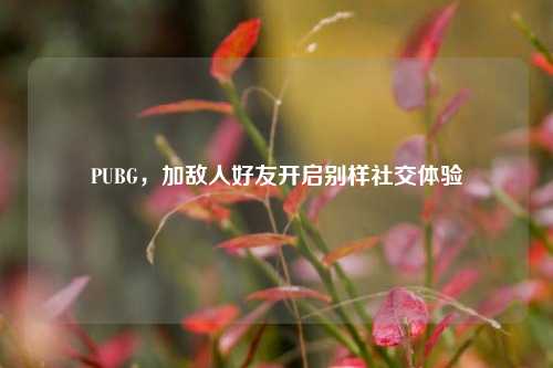 PUBG,加敌人好友开启别样社交体验