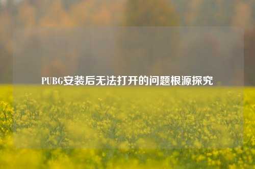 PUBG安装后无法打开的问题根源探究